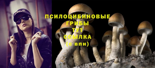 PSILOCYBIN Алексин